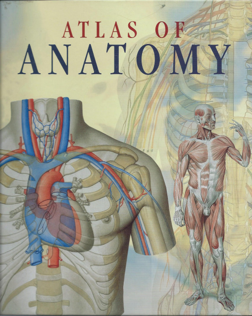 Atlas of Human Anatomy (2005, Paperback, Reprint)